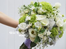 大眼雀梅绿白色简約花球