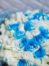 漸變色淺藍拼白色玫瑰花束99枝裝