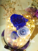 保鮮•愛系列 *LED玻璃罩玫瑰保鮮花（深藍/淺藍色）*可免費刻上名或祝福字句