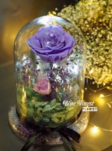 *保鮮•愛系列 *發光玻璃罩玫瑰保鮮花（薰衣草色）*可免費刻上名或祝福字句
