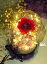 保鮮•愛系列 *LED玻璃罩玫瑰保鮮花（紅色）*可免費刻上名或祝福字句
