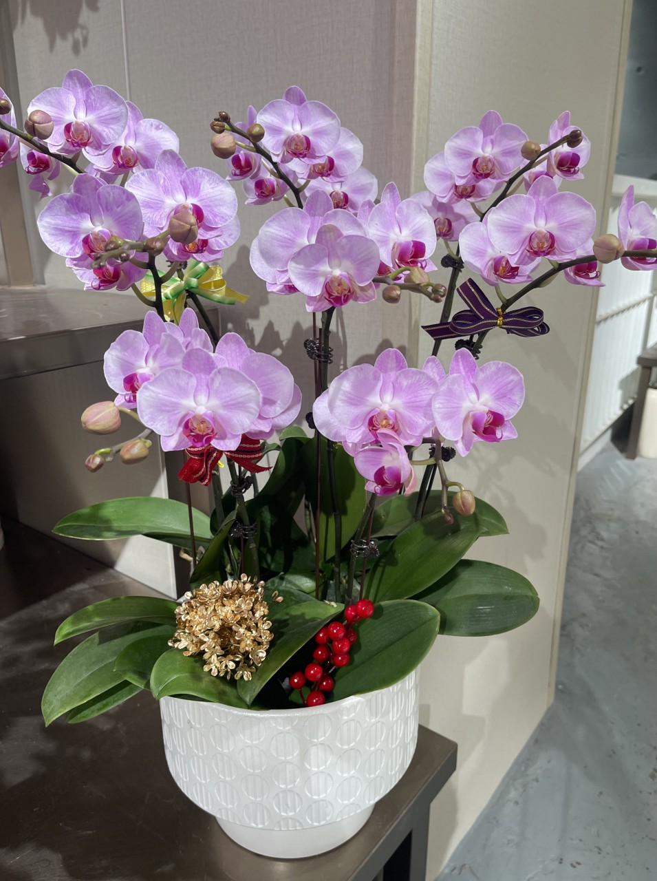 新春淺粉红色蝴蝶兰祝贺枱花连底盆(8枝装)