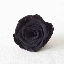 情人節系列  保鮮•愛*發光玻璃罩日本玫瑰保鮮花（深藍色）*可免費刻上名或祝福字句
