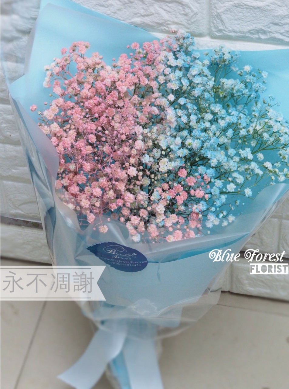 韓式 雙色滿天星花束