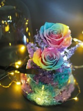 *  保鮮•愛 *發光玻璃罩玫瑰保鮮花（彩虹玫瑰）*可免費刻上名或祝福字句