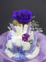 保鮮•愛系列  *發光玻璃罩玫瑰保鮮花（紫色）*可免費刻上名或祝福字句