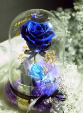 * 保鮮•愛系列 *發光玻璃罩玫瑰保鮮花（深藍色）*可免費刻上名或祝福字句