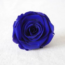 * 保鮮•愛系列 *發光玻璃罩玫瑰保鮮花（深藍色）*可免費刻上名或祝福字句