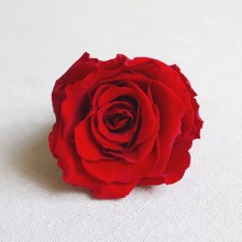 * 保鮮•愛系列 *發光玻璃罩玫瑰保鮮花（深藍色）*可免費刻上名或祝福字句