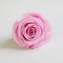 * 保鮮•愛系列 *發光玻璃罩玫瑰保鮮花（深藍色）*可免費刻上名或祝福字句