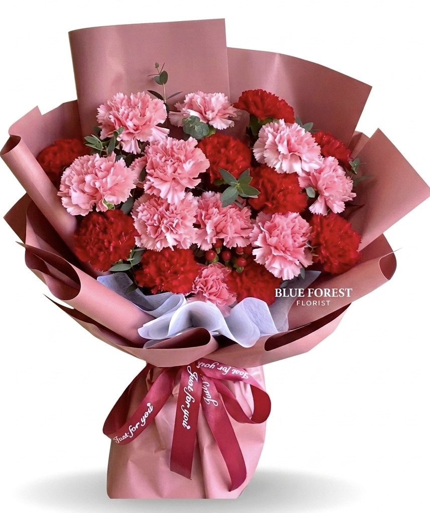 Mother's day精选-18朵双色康乃馨花束