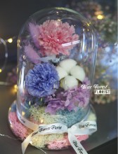 Mother's day精選 *玻璃罩康乃馨棉花保鮮花（淺紫/粉紅）*可免費刻上名或祝福字句