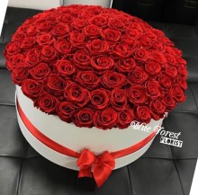 99枝紅玫瑰花盒