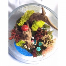 90米奇米妮微景觀玻璃瓶植物