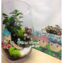 宮崎駿微景觀玻璃瓶植物4