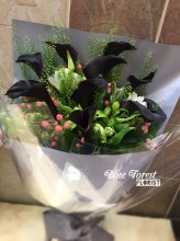 *荷蘭紫黑色馬蹄蘭連襯花花束