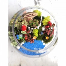 91龍貓微景觀玻璃瓶植物